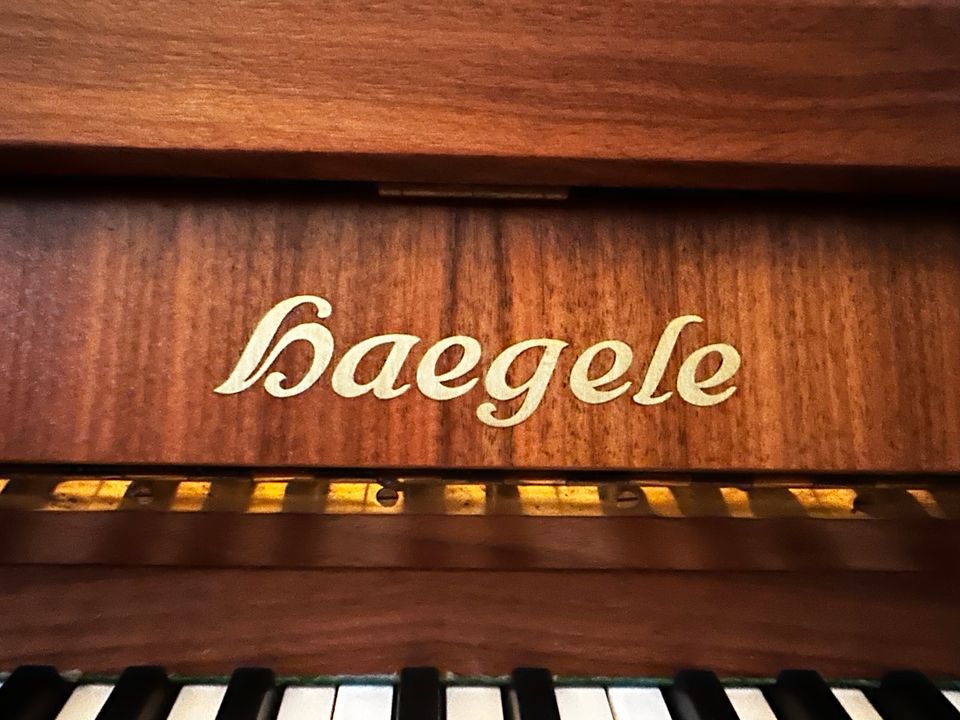 Klavier Haegele LETZTE Chance in Olching