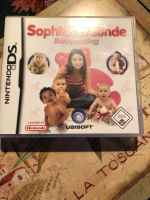 Nintendo DS Spiel Sophies Freunde Babysitting Bayern - Chieming Vorschau