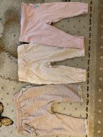 Hosen Sommer Set Gr. 74/80 Nordrhein-Westfalen - Gütersloh Vorschau