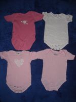 4 Herzchen Baby Bodys rosa weiss Gr.62/68 2x Prenatal 2x Papagino Schleswig-Holstein - Grundhof Vorschau