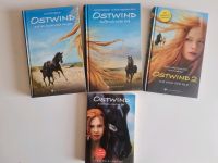 Ostwind Bücher - Pferdebücher Bayern - Schopfloch Vorschau