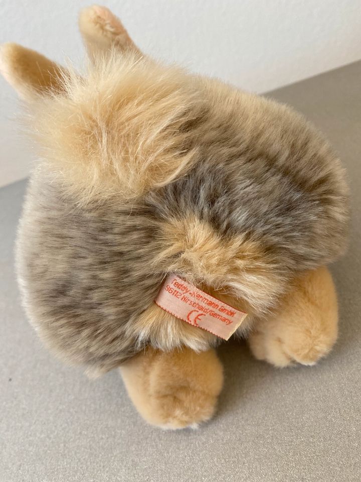 Kuscheltier Hase Ostern in Eltville