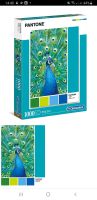 Puzzle Pantone: Pfauenblau Neu! Turquoise Peacock Frankfurt am Main - Westend Vorschau