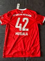 Jamal Musiala Trikot Brandenburg - Cottbus Vorschau