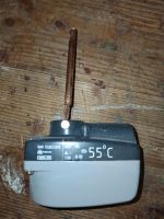 Thermostat Landis & GYR 55°C Dithmarschen - Marne Vorschau