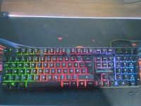 Empire Gaming Tastatur K 300 mit LED UND RGB Beleuchtung Schleswig-Holstein - Neudorf-Bornstein Vorschau