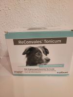 Ergänzungsfuttermittel für Hunde Hessen - Volkmarsen Vorschau