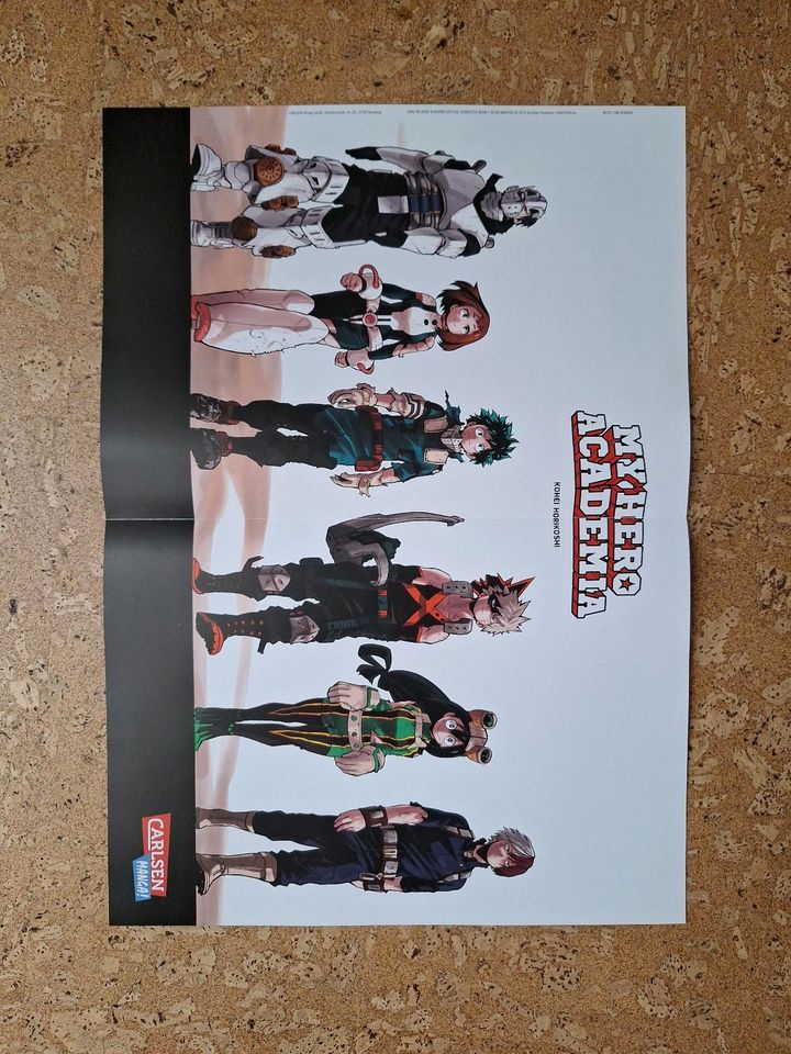 Verschiedene Anime Manga Poster Fairytail Mashle My hero academia in Flörsheim-Dalsheim