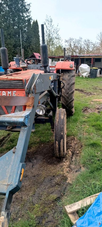 Traktor/Schlepper/trecker in Hesedorf 