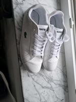 Damenschuhe Lacoste Niedersachsen - Verden Vorschau