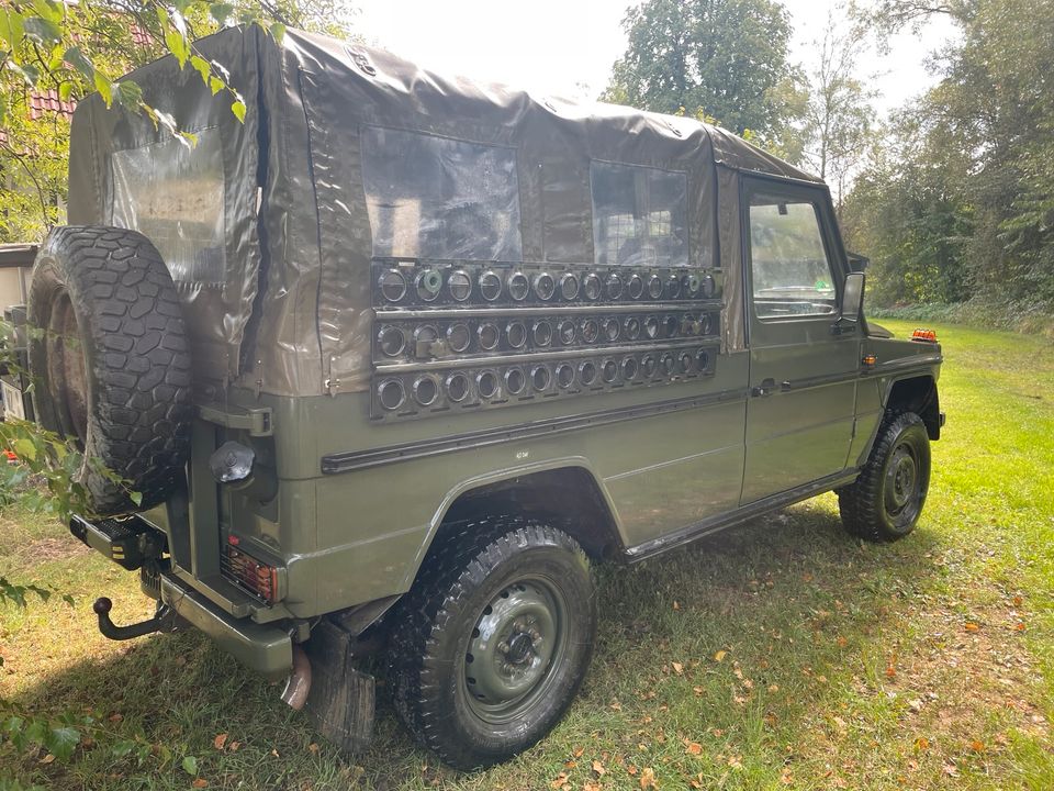 Steyr Puch G 230 Mercedes Ge 1989 Jagd Seilwinde 4x4 in Leun