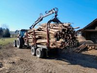 Holztransporte Baden-Württemberg - Hüfingen Vorschau