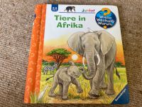 Buch Tiere in Afrika wieso weshalb warum Kinder 2-4 Jahre junior Saarland - Blieskastel Vorschau