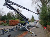 Baumfällung auch Problemfällung sowie Sturmschaden beseitigung Niedersachsen - Varel Vorschau