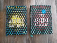 Rainer Werkwerth - 2 Bücher, Das Labyrinth jagt dich / erwacht Sachsen - Rabenau Vorschau