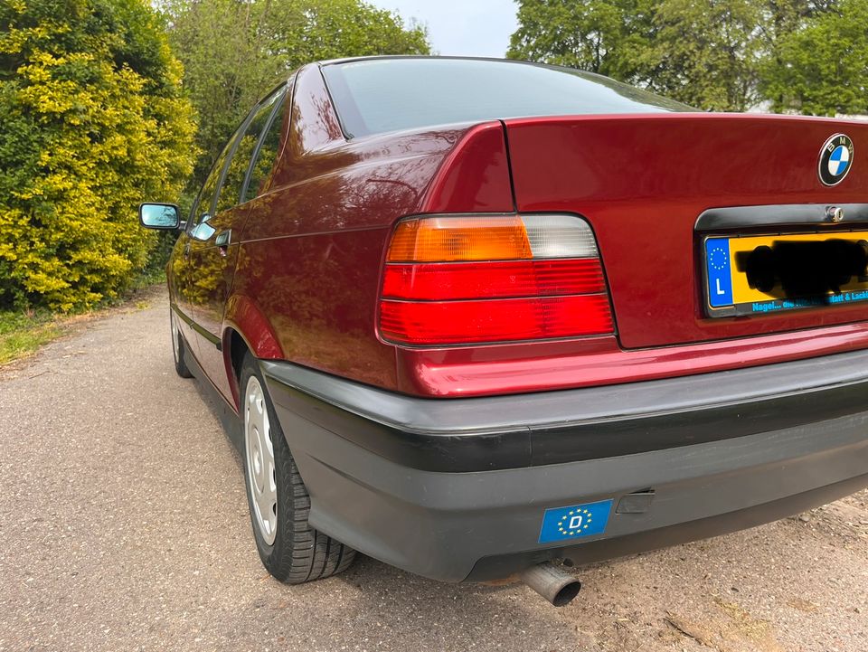 BMW 318i E36 | TÜV 10/25 | Scheckheftgefl. | Liebhaberfzg. in Aachen