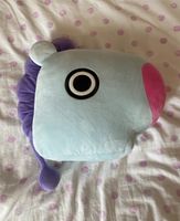 BTS BT21 Mang Kissen / Hobi - j-hope Bayern - Pettstadt Vorschau