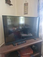 Grundig TV 43 Zoll Sachsen - Raschau-Markersbach Vorschau