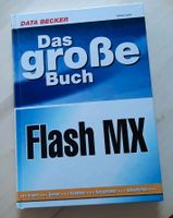 Das große Buch Flash MX Hessen - Kaufungen Vorschau