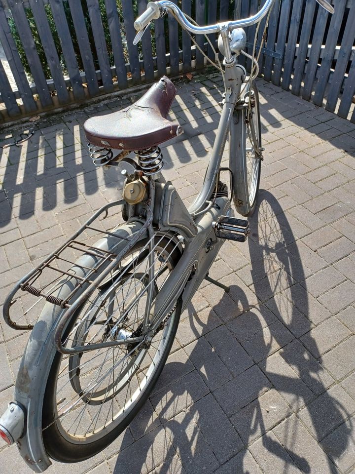 Hercules 213 mit Zündapp Motor in Wald Oberpf.