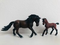 SCHLEICH Andalusier RARITÄT 72018 82925 Baden-Württemberg - Rottenburg am Neckar Vorschau