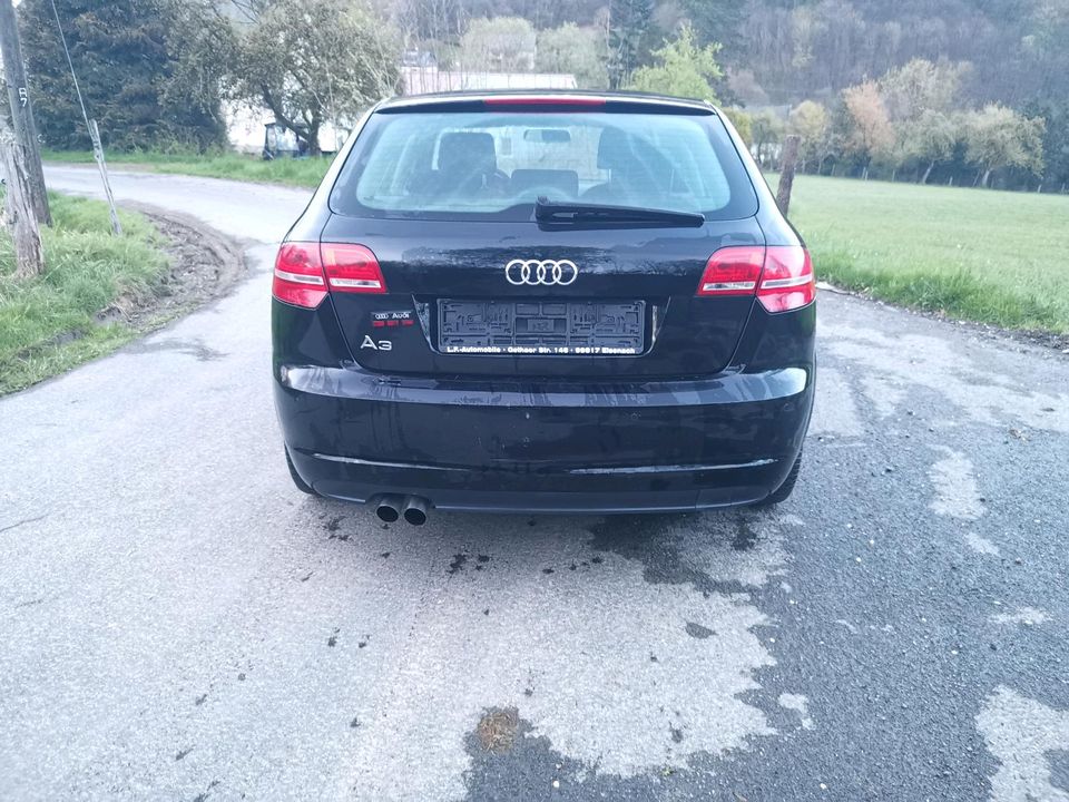 Audi A3 Sportback 2.0 TDI Quattro Tüv 02/2026 Bastler oder Export in Bad Berleburg