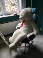 Riesen teddy Kreis Ostholstein - Eutin Vorschau