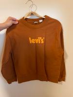 Levi’s Sweatshirt in Orange Nürnberg (Mittelfr) - Mitte Vorschau