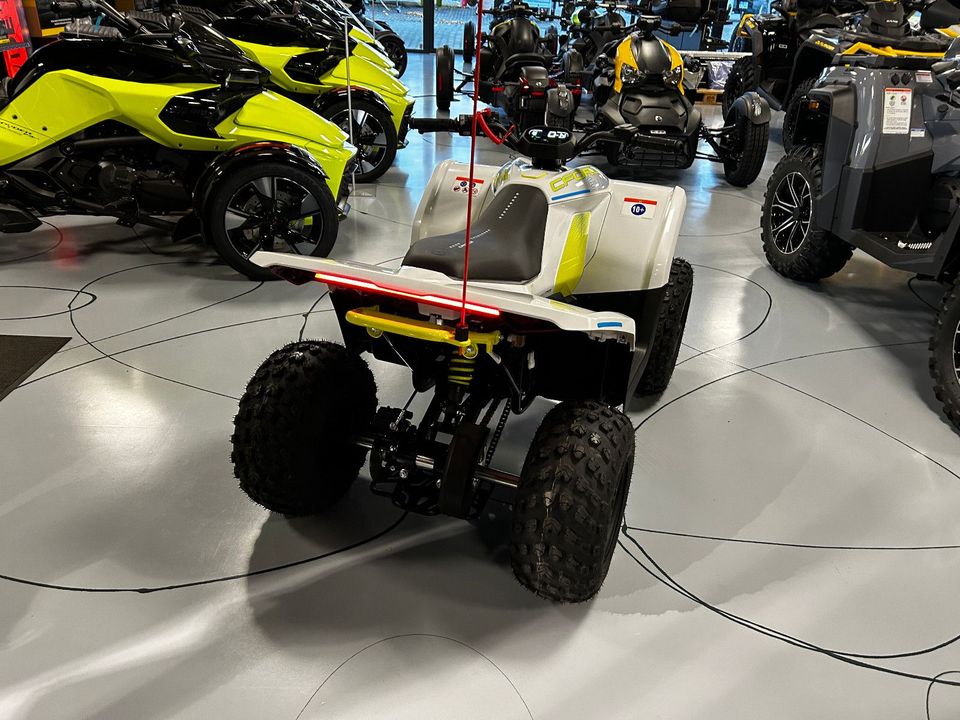 CFMOTO CFORCE 110 EV Elektro Kinderquad Kinder ATV in Florstadt