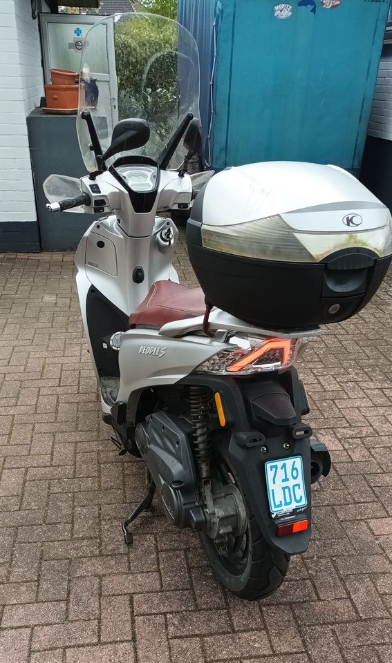 KYMCO Motorroller in Revensdorf