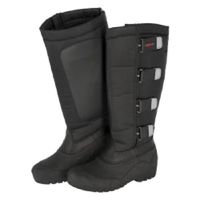 Reitstiefel, Winter, Thermoreitstiefel, 39 Nordrhein-Westfalen - Recklinghausen Vorschau