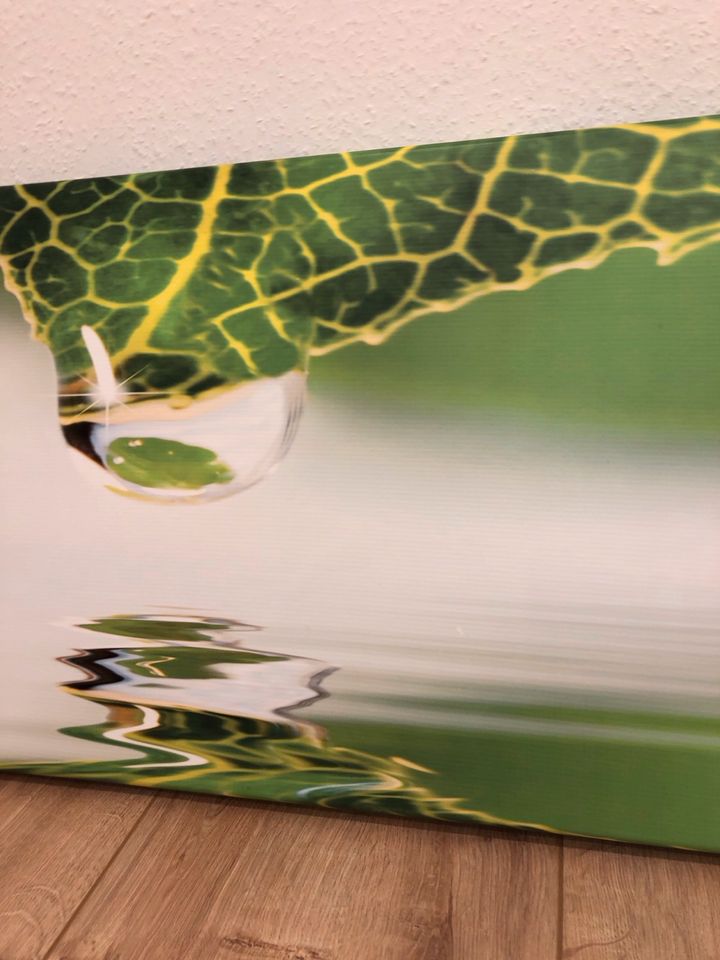 Bild Grün Wassertropfen Maße: ca. 38x116cm in Elchingen