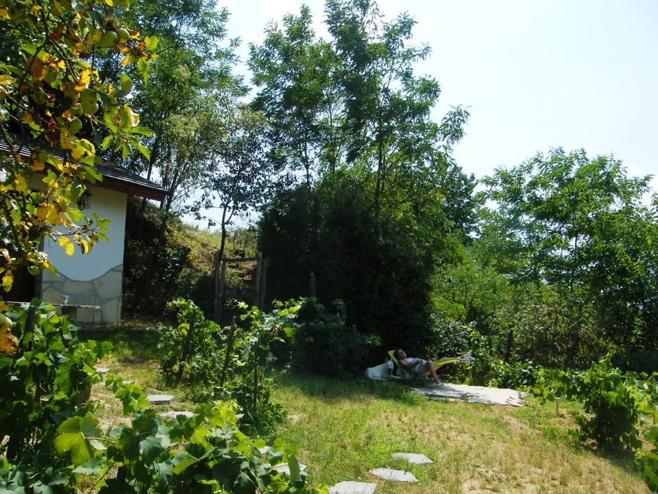 Komplett renoviertes ungarisches Landhaus inmitten von Weinbergen in Gangkofen