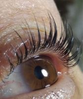 Wimpernlifting und/oder Brownlifting Schleswig-Holstein - Güby Vorschau