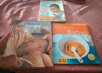 Das sind schöne vier babybücher Nordrhein-Westfalen - Plettenberg Vorschau