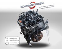 Motor CFH CFHC ● VW Touran Golf VI Jetta Skoda Seat ● 2.0 TDI Thüringen - Neustadt an der Orla Vorschau