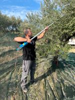 Olivenöl, 5 Liter, Extra Natives aus Kreta, Familieneigener Anbau Nordrhein-Westfalen - Sprockhövel Vorschau