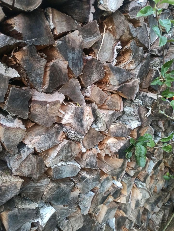 Brennholz Birke in Stücken - trocken in Arholzen