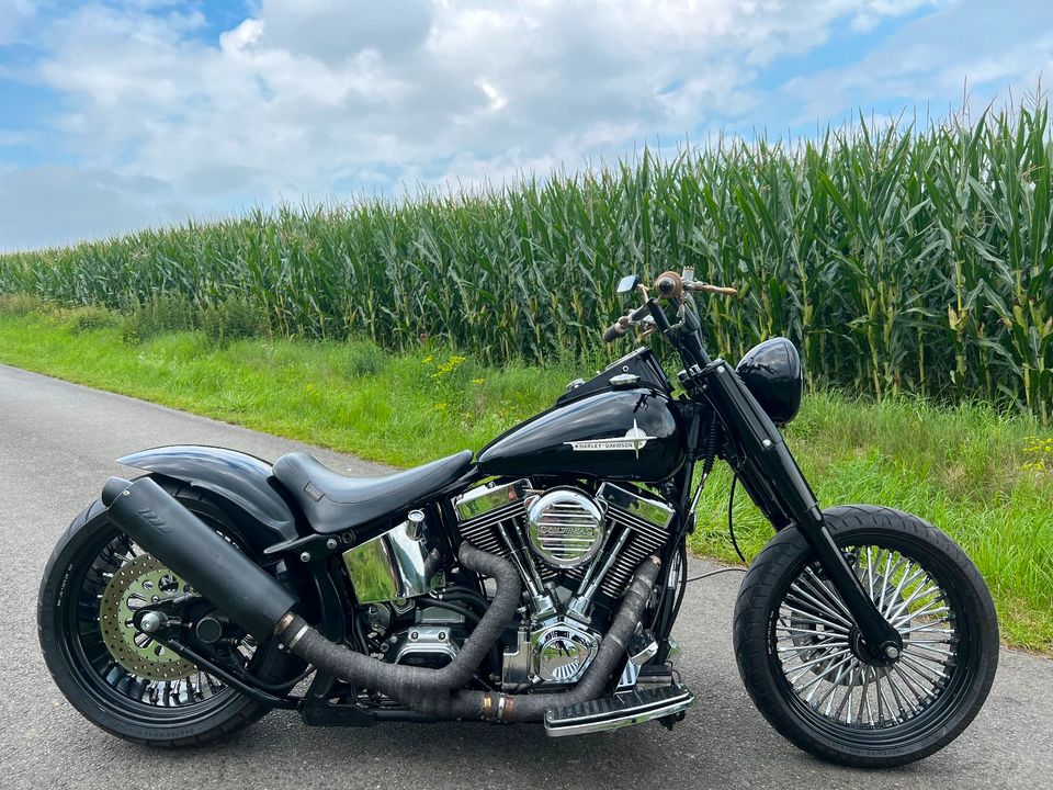 Harley-Davidson FXST Custom Umbau in Höxter