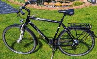 28 Zoll Fahrrad Pegasus Solero Sport 8 Gang Nabenschaltung Sachsen-Anhalt - Möckern Vorschau