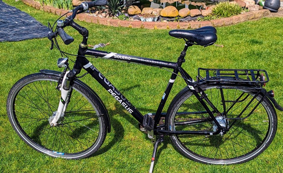 28 Zoll Fahrrad Pegasus Solero Sport 8 Gang Nabenschaltung in Möckern