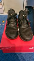 Puma Schuhe Gr. 41 Harburg - Hamburg Hausbruch Vorschau