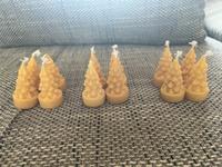 12 Bienenwachskerzen (Tannenbaum Teelicht) Sachsen-Anhalt - Könnern Vorschau