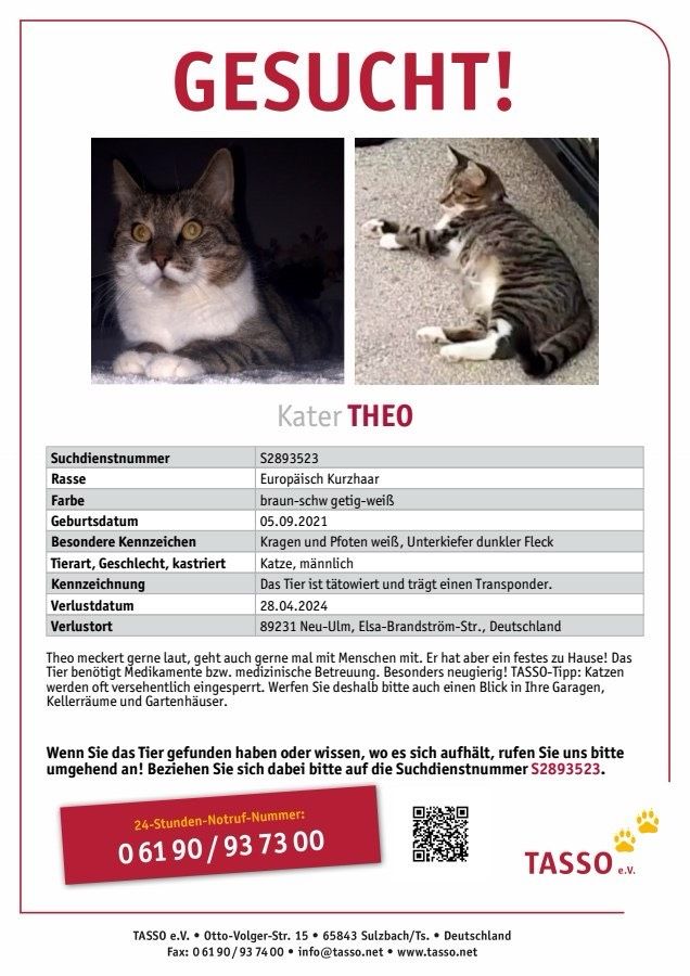 THEO WIRD VERMISST in Neu Ulm