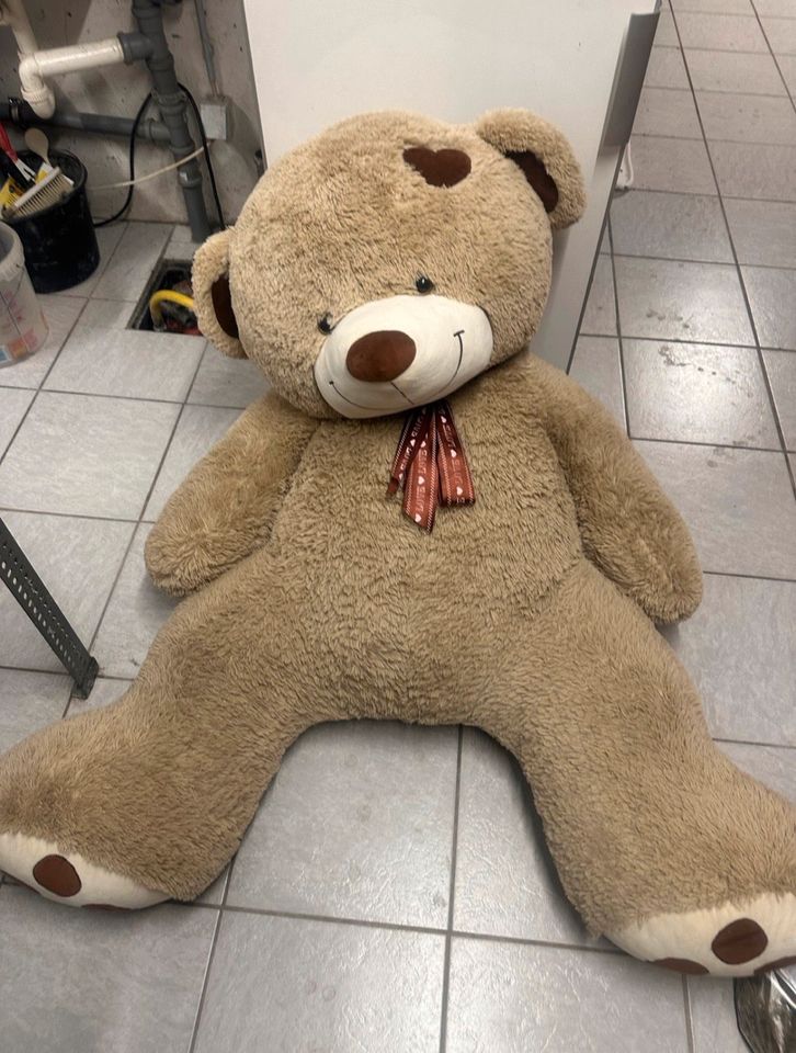 Großer Teddybär zum kuscheln in Nordrhein-Westfalen - Geilenkirchen |  Kuscheltiere günstig kaufen, gebraucht oder neu | eBay Kleinanzeigen ist  jetzt Kleinanzeigen