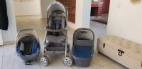 Kinderwagen Kombi Baden-Württemberg - Waldshut-Tiengen Vorschau