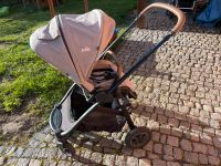 Joie Versatrax Buggy Hessen - Meinhard Vorschau