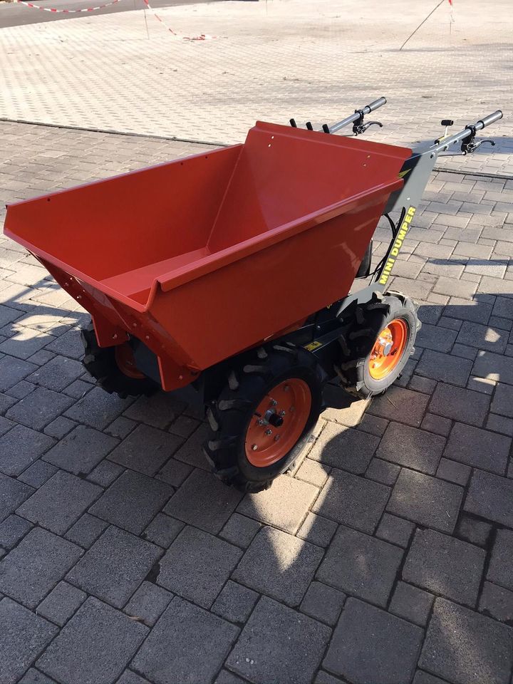 Minidumper Dumper Motorschubkarre Ntzl. 300kg mieten / leihen in