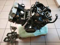 Honda VF 1000 F1 Motor defekt Hessen - Beselich Vorschau