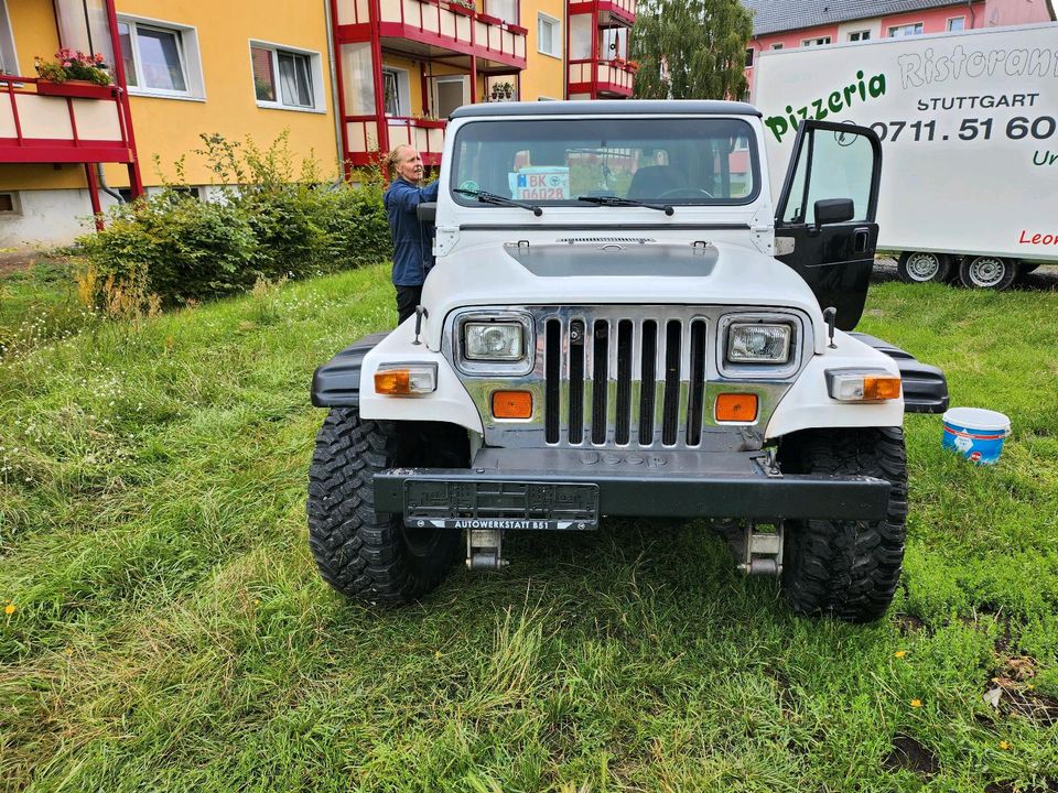 Jeep Wrangler  4,2 L YJ in Oebisfelde-Weferlingen